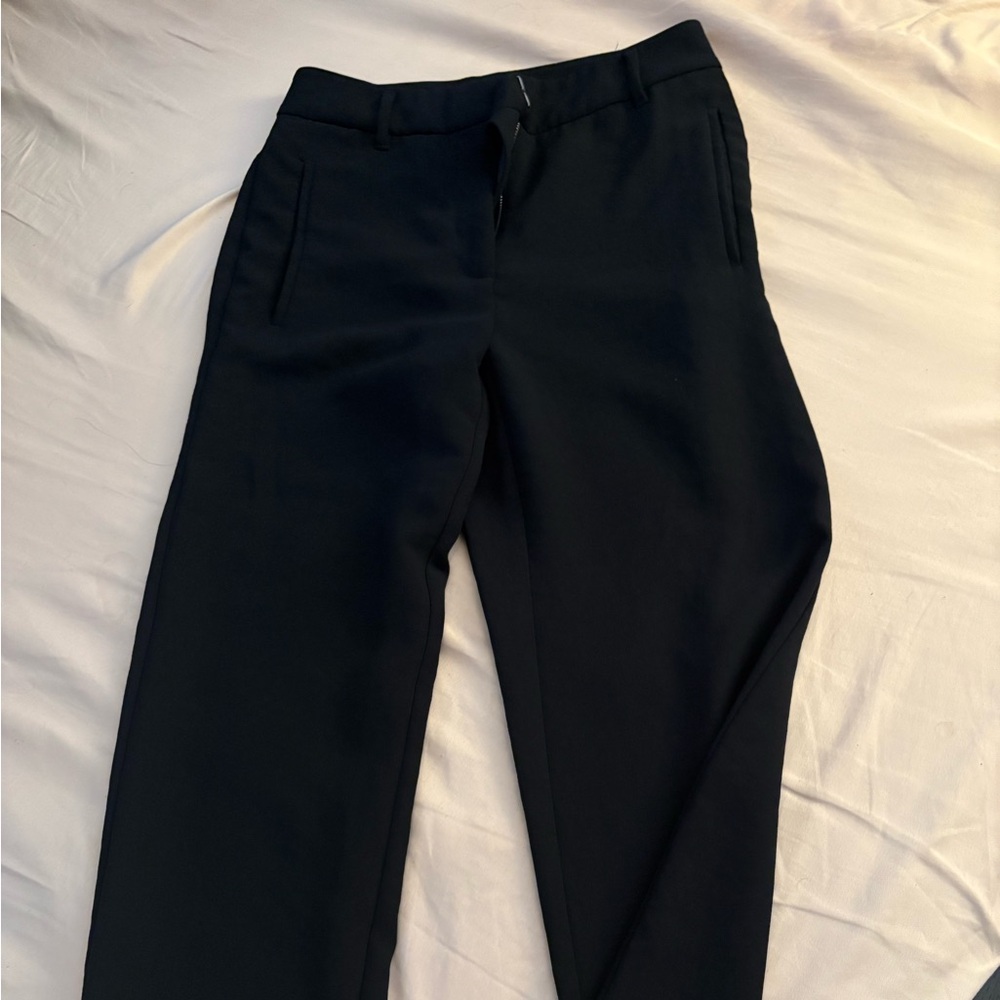 Aritzia Black Tailored Pants - High Waisted Ankle length
